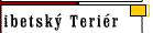 Tibetsk Terir